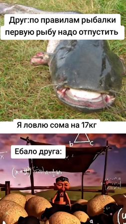 Рекомендую вам рыбалку  #прикол #жерехнатейлспинер #голавль #рыбакипо...