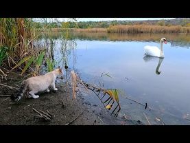 #Славянск. 19 октября 2025г. Вечер.