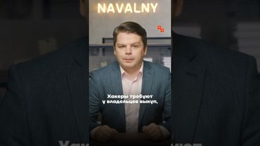 Хакеры закрыли целую сеть алкомаркетов в России