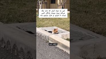 میشناسین؟🤔😁#shorts #bts #lisa_bts7 #بی_تی_اس #تهیونگ #شوگا #کیپاپ #اکسپلور #ادیت #suga #kpop #army