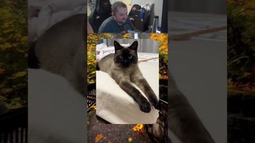 Автор - @miuccia.muiccia | twitch.tv/neonpsh - розыгрыши и турниры каждый месяц!