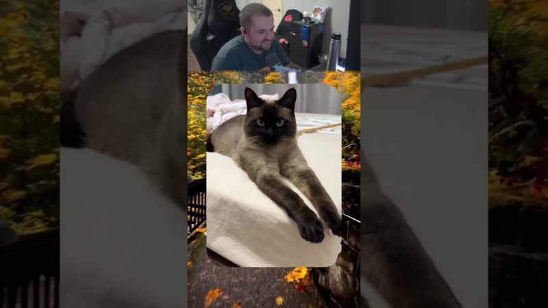 Автор - @miuccia.muiccia | twitch.tv/neonpsh - розыгрыши и турниры каждый месяц!