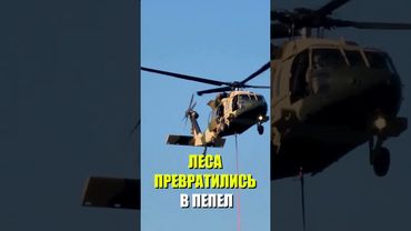 Лесные пожары охватили Сирию