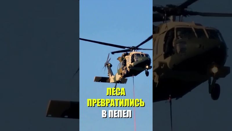 Лесные пожары охватили Сирию