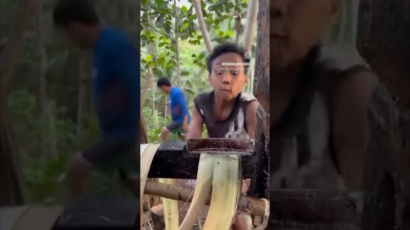 Algo le pasó a Pepito