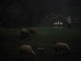 ما أتى من الله فالحمد لله 🤍🍃 . . . #مواعظ #طمأنينه #نصائح #تذكير  #صل...