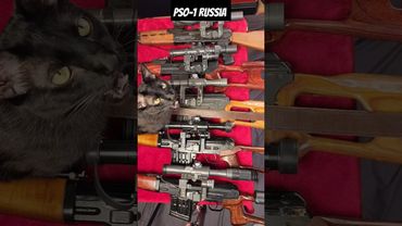 Comparing Combloc Optics Dragunov PSL