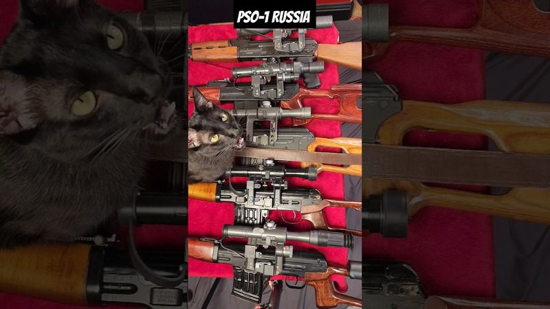 Comparing Combloc Optics Dragunov PSL