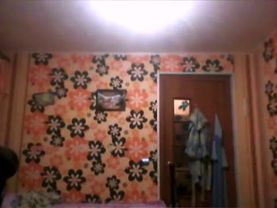 Танцуем ,породируем, бесимся