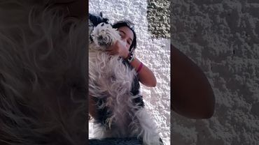 11 de agosto de 2025