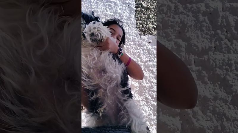 11 de agosto de 2025