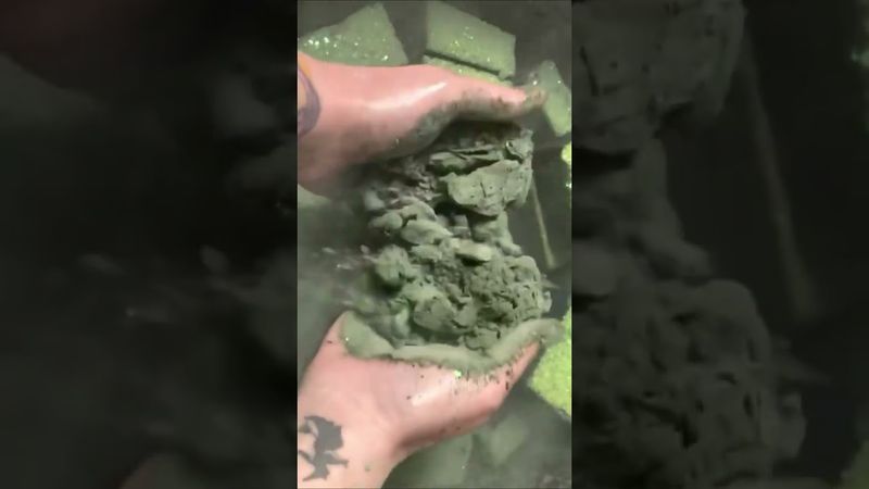 Super Crispy Dusty BSN