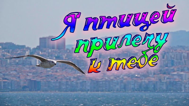 Обалденная песня Новинка 2021 Сергей Одинцов - Я птицей прилечу к тебе