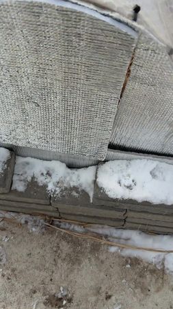 #tiktok #cat #fyppppppppppppppppppppppp 