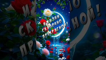 Добрый вечер!🌠💫🌠💫🌠💫