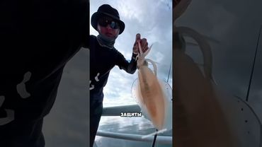 Почему кальмара нужно обезвредить ￼😮