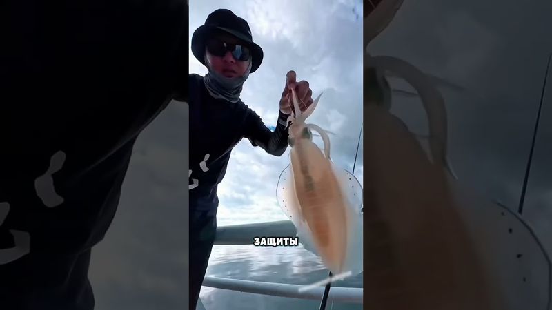 Почему кальмара нужно обезвредить ￼😮