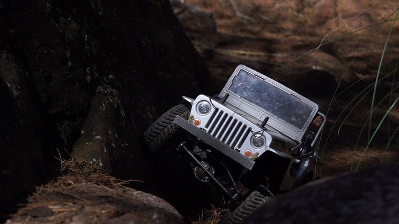 CRAWLER summer calamot VD#3 RC Scale