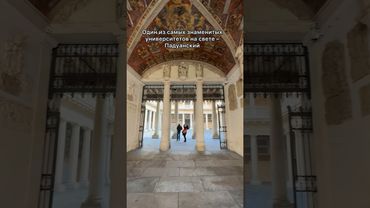 Самый любопытный университет на свете? Падуанский! #италия #падуя #медицина