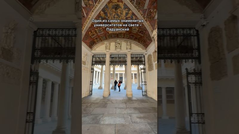 Самый любопытный университет на свете? Падуанский! #италия #падуя #медицина