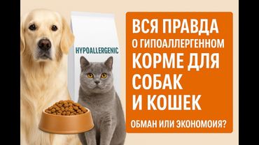 Вся правда о гипоаллергенных кормах для собак и кошек. Обман или спасение? Как выбрать правильно?