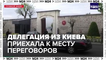 Делегация из Киева приехала к месту предстоящих переговоров в Стамбуле