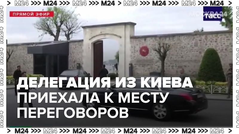 Делегация из Киева приехала к месту предстоящих переговоров в Стамбуле