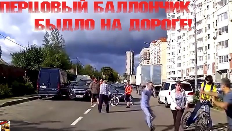 Быдло на дороге. Хорошо, что взял перцовый баллончик