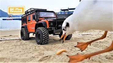 RC Car Traxxas TRX4 D110 Defender Beach SeaGull