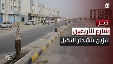 المخا.. تزيين شارع الأربعين بأشجار النخيل