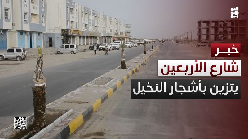 المخا.. تزيين شارع الأربعين بأشجار النخيل