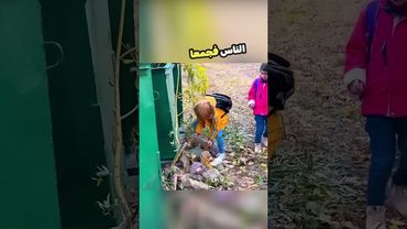 حلوا المشكلة بس بذكاء !