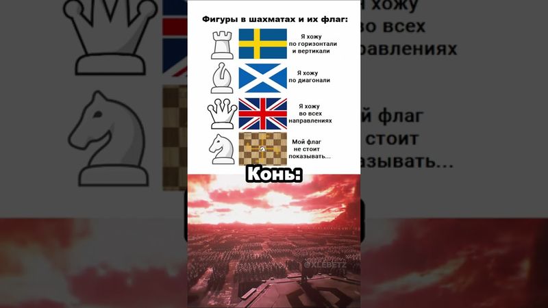 Шахматы 🙋♟