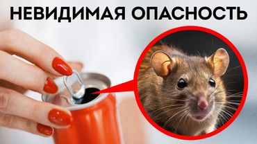 Действительно ли ваш дом безопасен? // Обычные вещи со скрытыми рисками