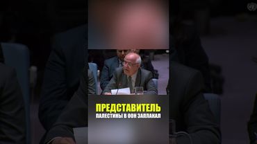 Представитель Палестины в ООН заплакал на заседании Совбеза