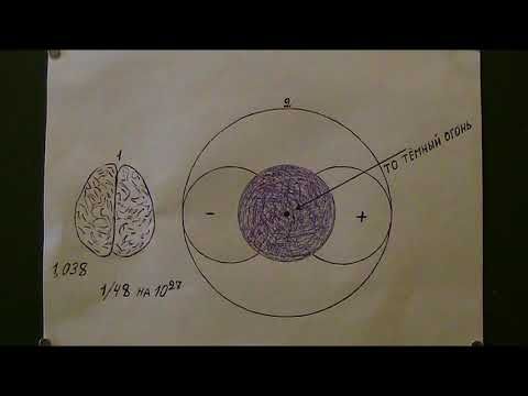 Серое вещество, что это такое