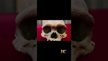 ‘Dragon Man’ DNA revelation puts a face to a mysterious group of ancient humans