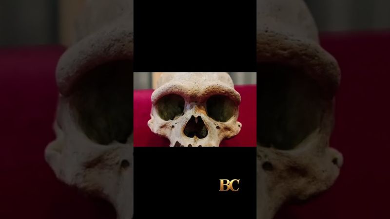 ‘Dragon Man’ DNA revelation puts a face to a mysterious group of ancient humans