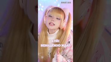 А пёс безнадёжно ждал🐕 #юрийшатунов #shatunov