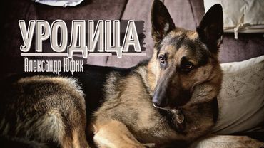 УРОДИЦА / поэзия - Александр Юфик/ СтихиЯ***/ДО СЛЁЗ.