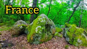 Forest of Fontainebleau France Walking tour- May 19. 2024