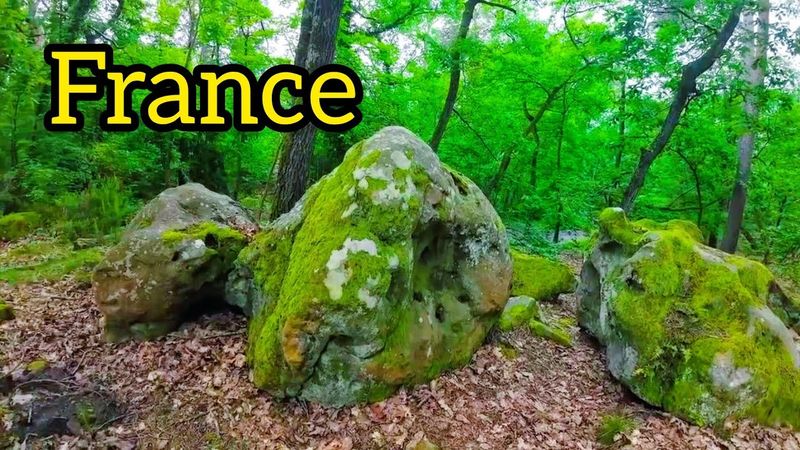 Forest of Fontainebleau France Walking tour- May 19. 2024