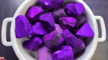 Purple Bucket JUMBOs💕💕