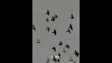 《你拜遍天下神仙！不如磨快你手里的刀》这世道，是菩萨是阎王不重要！重要的是，你手里的筹码够不够买通阴阳！认同！转发！功德无量！#正能量 #国学文化 #道家文化 #道家智慧 #道家思想  #人生感悟