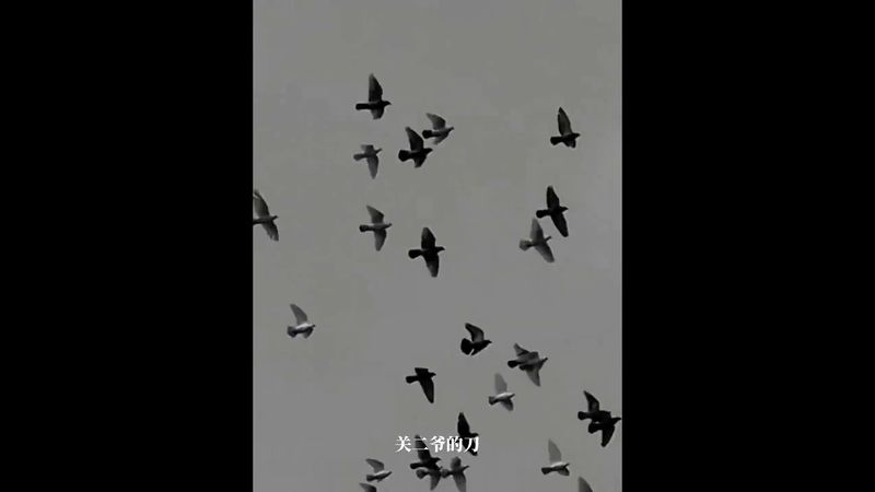 《你拜遍天下神仙！不如磨快你手里的刀》这世道，是菩萨是阎王不重要！重要的是，你手里的筹码够不够买通阴阳！认同！转发！功德无量！#正能量 #国学文化 #道家文化 #道家智慧 #道家思想  #人生感悟