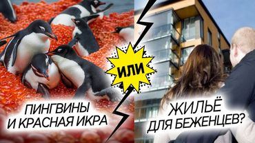 БЮДЖЕТ - НА ПИНГВИНОВ ИЛИ НА БЕЖЕНЦЕВ?