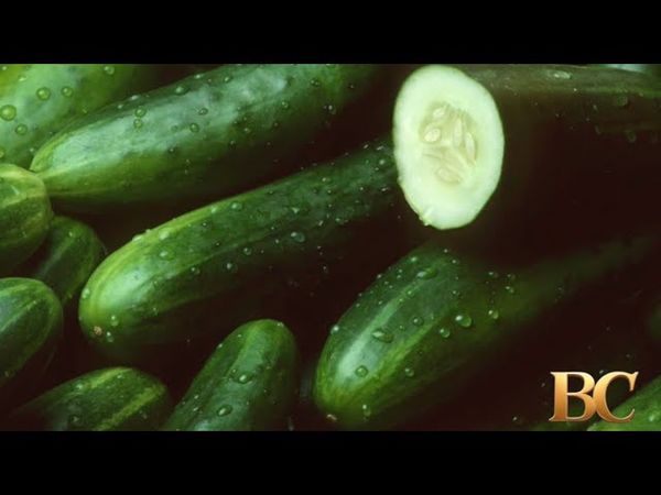 Cucumbers recalled after more than 20 people sickened in Salmonella outbreak