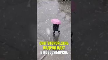 Мокрый снег местами ложится на машины и траву, но быстро тает