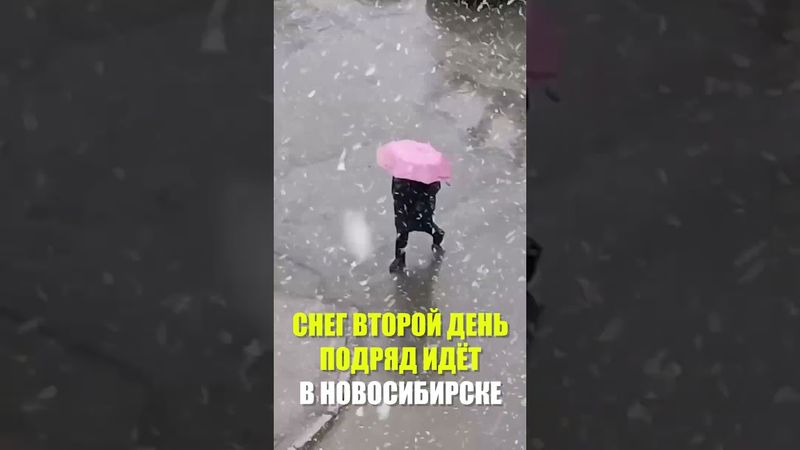 Мокрый снег местами ложится на машины и траву, но быстро тает