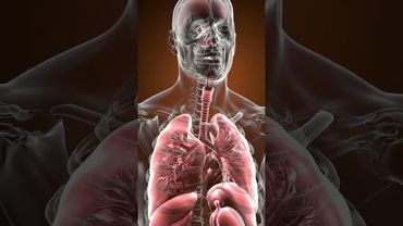 Это может спасти тебе жизнь. Что делать при пневмотораксе